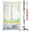 10位! 口コミ数「0件」評価「0」米 5kg コシヒカリ 白米 新潟 令和5年 B7-21新潟県長岡産コシヒカリ5kg（ミネラル特別栽培米）