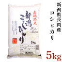 【ふるさと納税】米 5kg コシヒカリ 白米 新潟 令和5年 B7-25新潟県長岡産コシヒカリ5kg