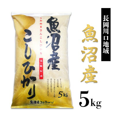 楽天ふるさと納税　【ふるさと納税】米 5kg 白米 魚沼 新潟こしひかり 令和5年 C2-K051新潟県魚沼産コシヒカリ（長岡川口地域）5kg