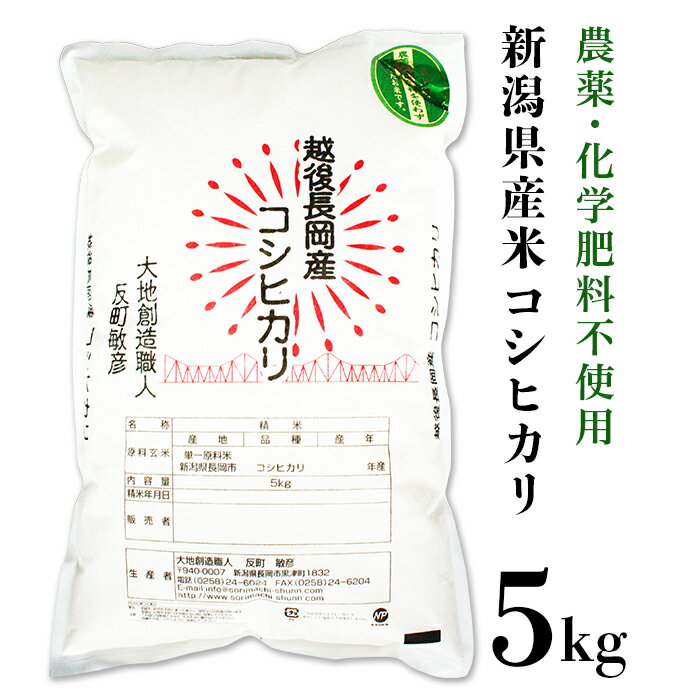 米 5kg コシヒカリ 白米 新潟 令和5年 E1-03新潟県産米コシヒカリ5kg