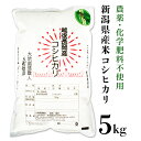 米 5kg コシヒカリ 白米 新潟 令和5年 E1-03新潟県産米コシヒカリ5kg