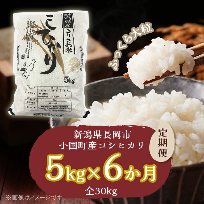 【ふるさと納税】米 定期便 5kg 6ヶ月 白米 コシヒカリ 新潟 令和5年 L7-04【6ヶ月連続お届け】新潟県小国町産コシヒカリ「きりさわ米」5kg