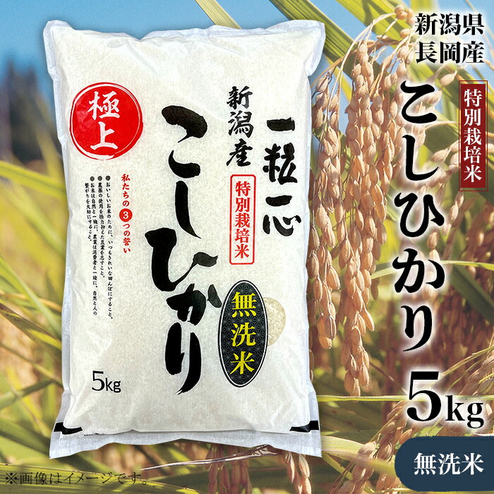 【ふるさと納税】米 無洗米 5kg コシヒカリ 白米 新潟 令和5年 48-M051【無洗米】新潟県長岡産特別栽培米コシヒカリ5kg