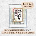 新潟県長岡市の画像3