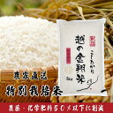 24位! 口コミ数「0件」評価「0」米 5kg コシヒカリ 白米 新潟 令和5年 J8-5N051【越の金翔米】新潟県長岡産コシヒカリ5kg（特別栽培米）