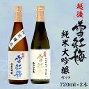 27位! 口コミ数「0件」評価「0」M8-01越後雪紅梅 純米大吟醸セット 720ml×2本