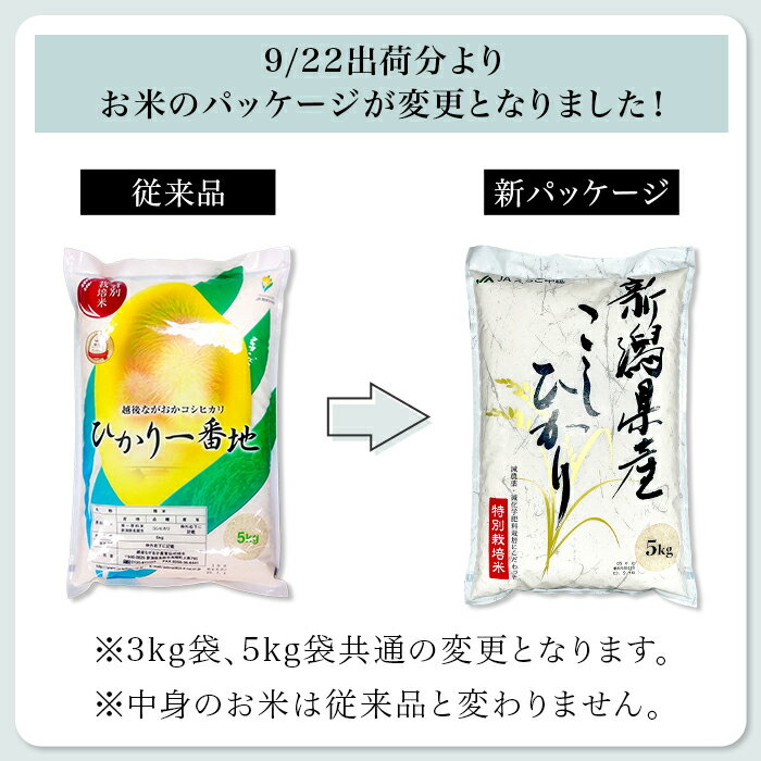 【ふるさと納税】米 定期便 10kg 白米 新潟こしひかり 令和5年 75-3N103【3ヶ月連続お届け】新潟県長岡産コシヒカリ10kg（特別栽培米）