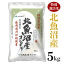 米 5kg 白米 魚沼 新潟こしひかり 令和5年 5S05-1北魚沼産コシヒカリ特別栽培米5kg（長岡川口地域）