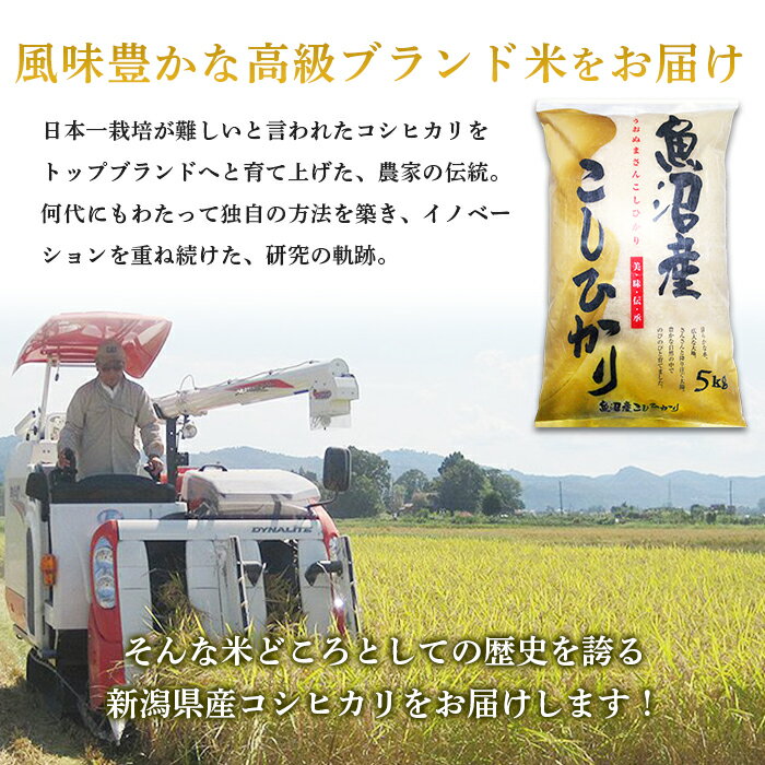 【ふるさと納税】楽天限定 定期便 5kg 6ヶ月 白米 コシヒカリ 魚沼 令和4年 C2-K056【6ヶ月連続お届け】新潟県魚沼産コシヒカリ5kg（長岡川口地域）