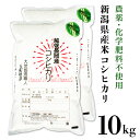 【ふるさと納税】E1-05新潟県産米コシヒカリ10kg