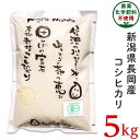【ふるさと納税】 米 5kg 25-S51【精米】新潟県長岡...