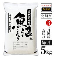 【ふるさと納税】米 定期便 5kg 白米 コシヒカリ 魚沼 令和2年 94-K53【3ヶ月連続お届け】特別栽培米 新潟県魚沼産コシヒカリ（長岡川口地域）5kg