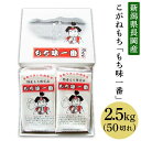 【ふるさと納税】41-01新潟県長岡産こがねもち「もち味一番」2.5kg（50切れ）