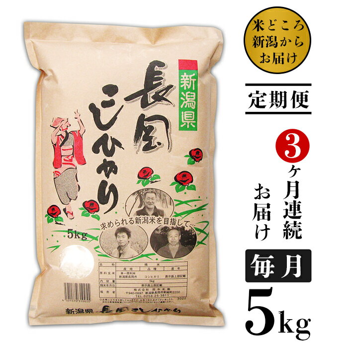 米 定期便 5kg 白米 新潟こしひかり 令和5年 73-4N053[3ヶ月連続お届け]新潟県長岡産コシヒカリ5kg