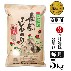 【ふるさと納税】米 定期便 5kg 白米 新潟こしひかり 令和5年 73-4N053【3ヶ月連続お届け】新潟県長岡産コシヒカリ5kg