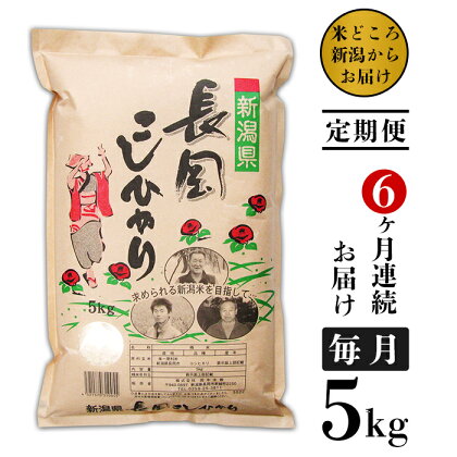 米 定期便 5kg 6ヶ月 白米 新潟こしひかり 令和5年 73-4N056【6ヶ月連続お届け】新潟県長岡産コシヒカリ5kg