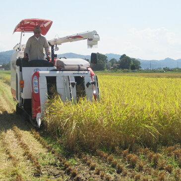 【ふるさと納税】75-3K103【3ヶ月連続お届け】新潟県長岡産特別栽培米こしいぶき10kg(5kg×2袋)