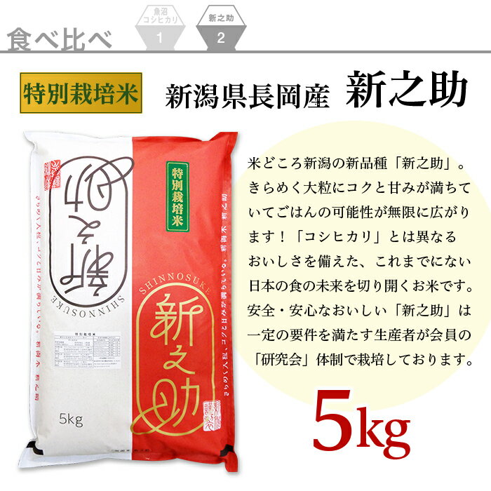 【ふるさと納税】米 10kg 白米 コシヒカリ 魚沼 令和3年 B7-42新潟県魚沼産（長岡川口地域）コシヒカリ5kg・長岡産新之助（特別栽培米）5kg食べ比べセット