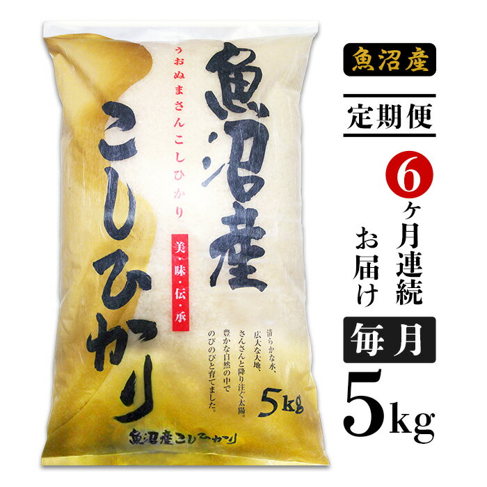 【ふるさと納税】楽天限定 定期便 5kg 6ヶ月 白米 コシヒカリ 魚沼 令和4年 C2-K056【6ヶ月連続お届け】新潟県魚沼産コシヒカリ5kg（長岡川口地域）