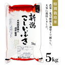 【ふるさと納税】E1-08新潟県長岡産こしいぶき5kg