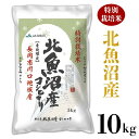 【ふるさと納税】米 10kg 白米 コシヒカリ 魚沼 令和2年 新米 W10-1北魚沼産コシヒカリ特別栽培米10kg（長岡川口地域）