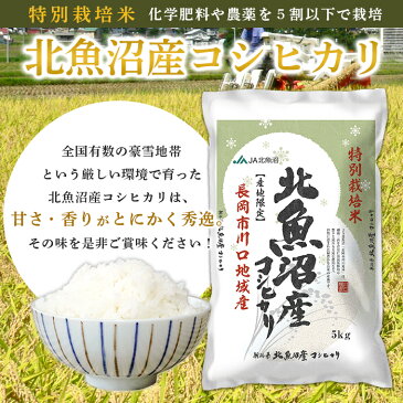 【ふるさと納税】米 定期便 10kg 6ヶ月 白米 コシヒカリ 魚沼 令和2年 WM10-6A【6ヶ月連続お届け】北魚沼産コシヒカリ特別栽培米10kg+無洗米300g×3袋（長岡川口地域）