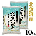 【ふるさと納税】米 10kg 白米 コシヒカリ 魚沼 令和2...