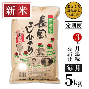 【ふるさと納税】米 定期便 5kg 白米 新潟こしひかり 令和4年 新米 73-4N053【3ヶ月連続お届け】新潟県長岡産コシヒカリ5kg