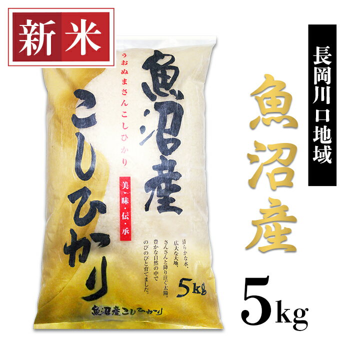 【ふるさと納税】米 5kg 白米 魚沼 新潟こしひかり 令和5年 新米 C2-K051新潟県魚沼産コシヒカリ（長岡川口地域）5kg