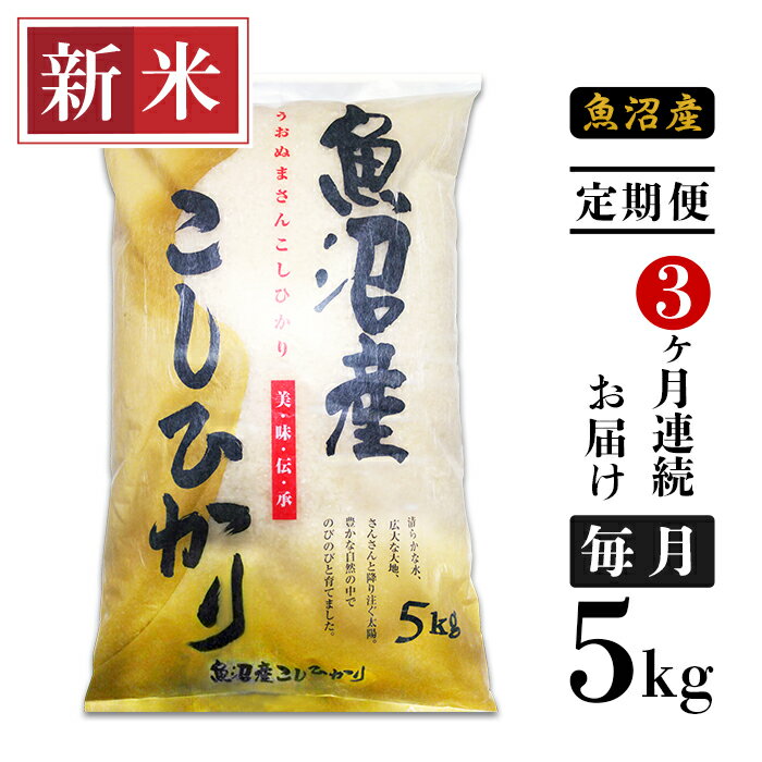 【ふるさと納税】米 定期便 5kg 白米 魚沼 新潟こしひかり 令和5年 新米 C2-K053【3ヶ月連続お届け】新潟県魚沼産コシヒカリ5kg（長岡川口地域）