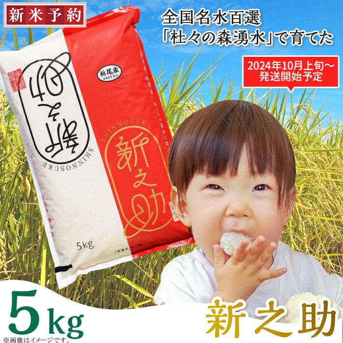 【ふるさと納税】米 5kg 白米 新之助 新潟 令和6年 新米 43-10新之助5kg（全国名水百選栃尾産）のサムネイル