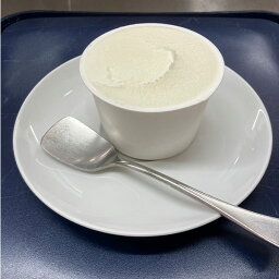 【ふるさと納税】手作りジェラートセット 乳化安定剤・卵・小麦不使用 ジェラートマエストロの作るアイスのセット【010P198】