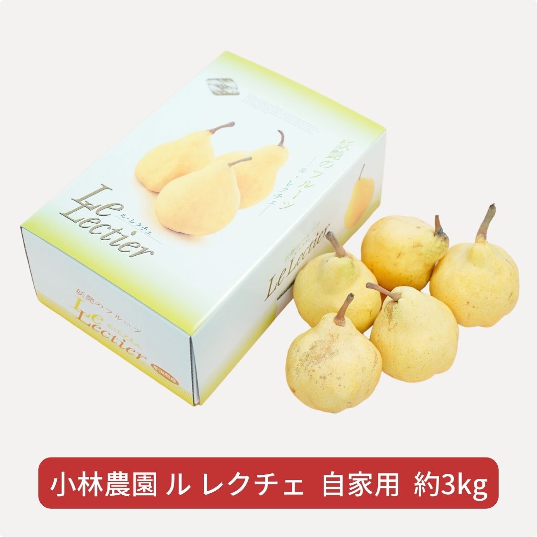 【ふるさと納税】先行予約 ル レクチェ 自家用 約3kg [11月下旬から発送予定] 7〜14玉 幻の西洋梨 ル・レクチェ 洋梨の貴婦人 新潟県産 洋梨 [小林農園] 【010P076】のサムネイル