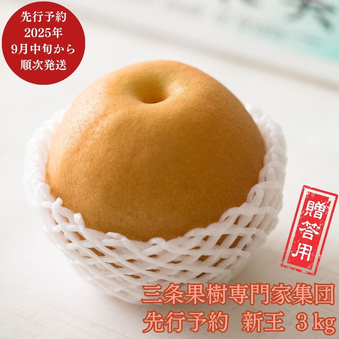 【ふるさと納税】先行予約 新潟オリジナル和梨 新王 約3kg [9月中旬から発送予定] 令和7年度 贈答用 新潟県 三条市産 [三条果樹専門家集団]【016P041】のサムネイル