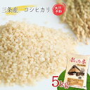 【ふるさと納税】先行予約 新潟県三条産コシヒカリBL 5kg×1袋 令和7年産コシヒカリ 精米 新潟県産コシヒカリ 【016S082】