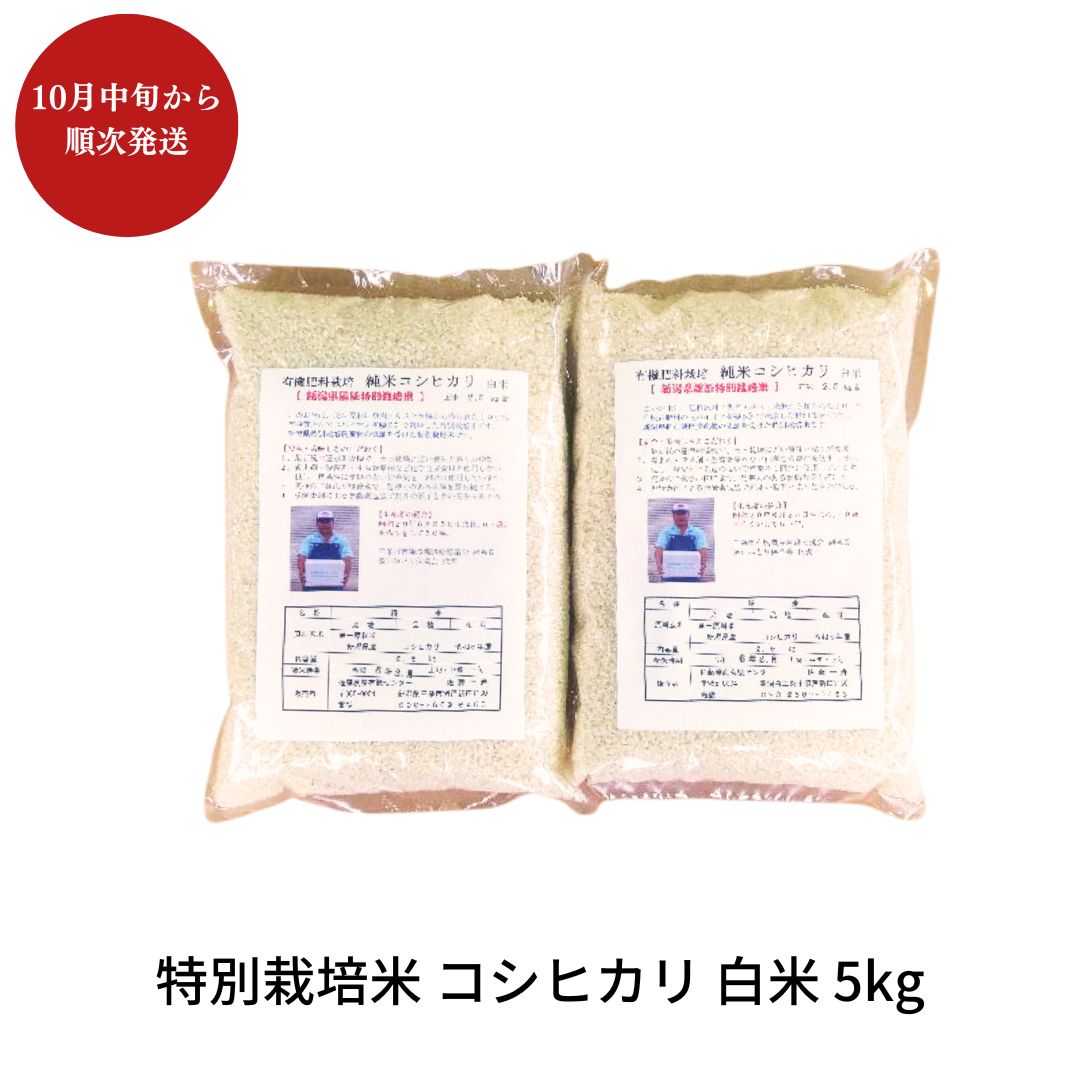 【ふるさと納税】特別栽培米 コシヒカリ 白米 5kg 新潟県産 令和7年産 [佐藤農産有機センター]【010S444】