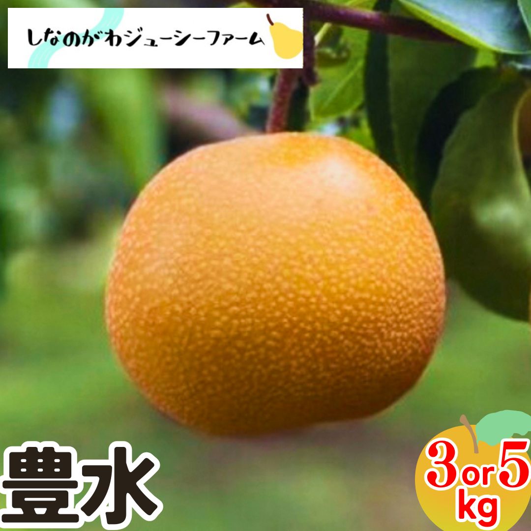 【ふるさと納税】 先行予約 和梨 豊水 約3kg・約5kg [9月上旬から発送予定] 選べる数量 新潟県 三条市産 梨 [しなのがわジューシーファーム]【010S479】のサムネイル