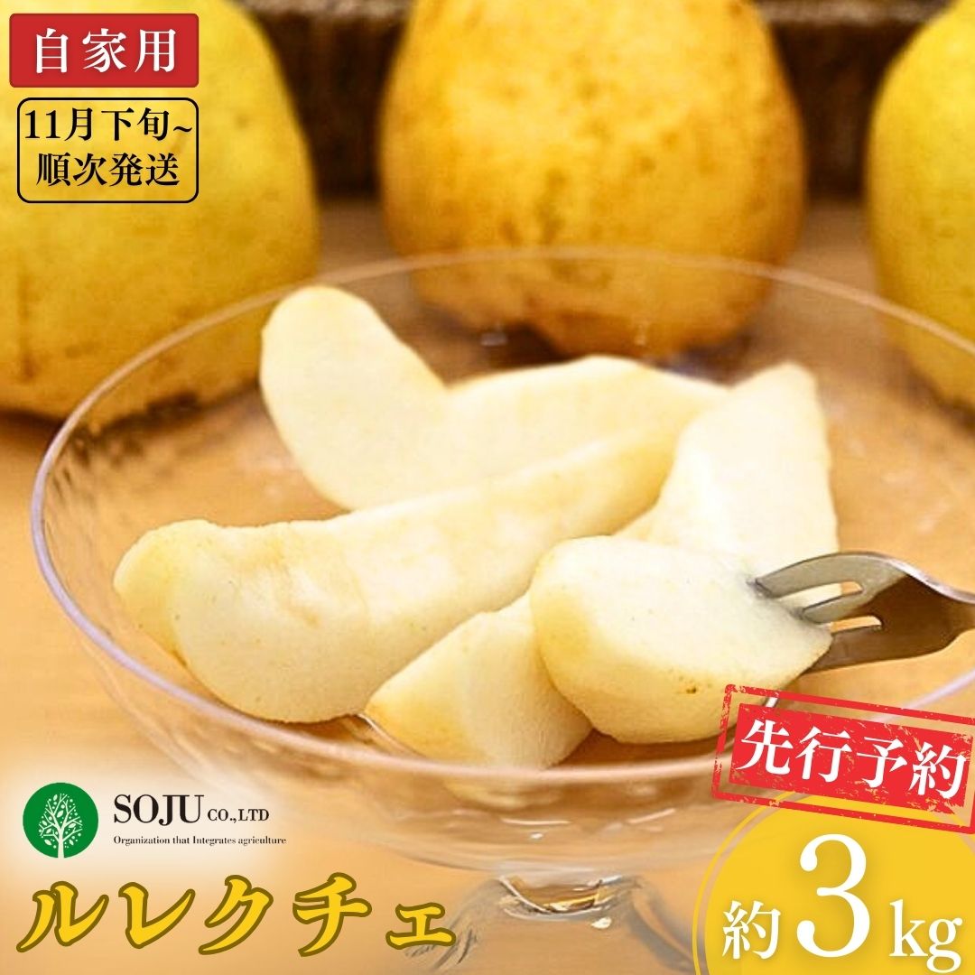 【ふるさと納税】先行予約 ル レクチェ 自家用 約3kg [11月下旬から発送予定] 洋梨 JGAP認証農場 幻の西洋梨 新潟県 三条市産 冬限定 フルーツ 秋 旬 ル・レクチェ [三条果樹専門家集団]【010P067】のサムネイル