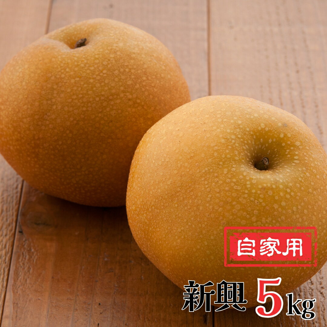 ڤդ뤵Ǽǡ   5kg 㸩   [ʡ] 010P065