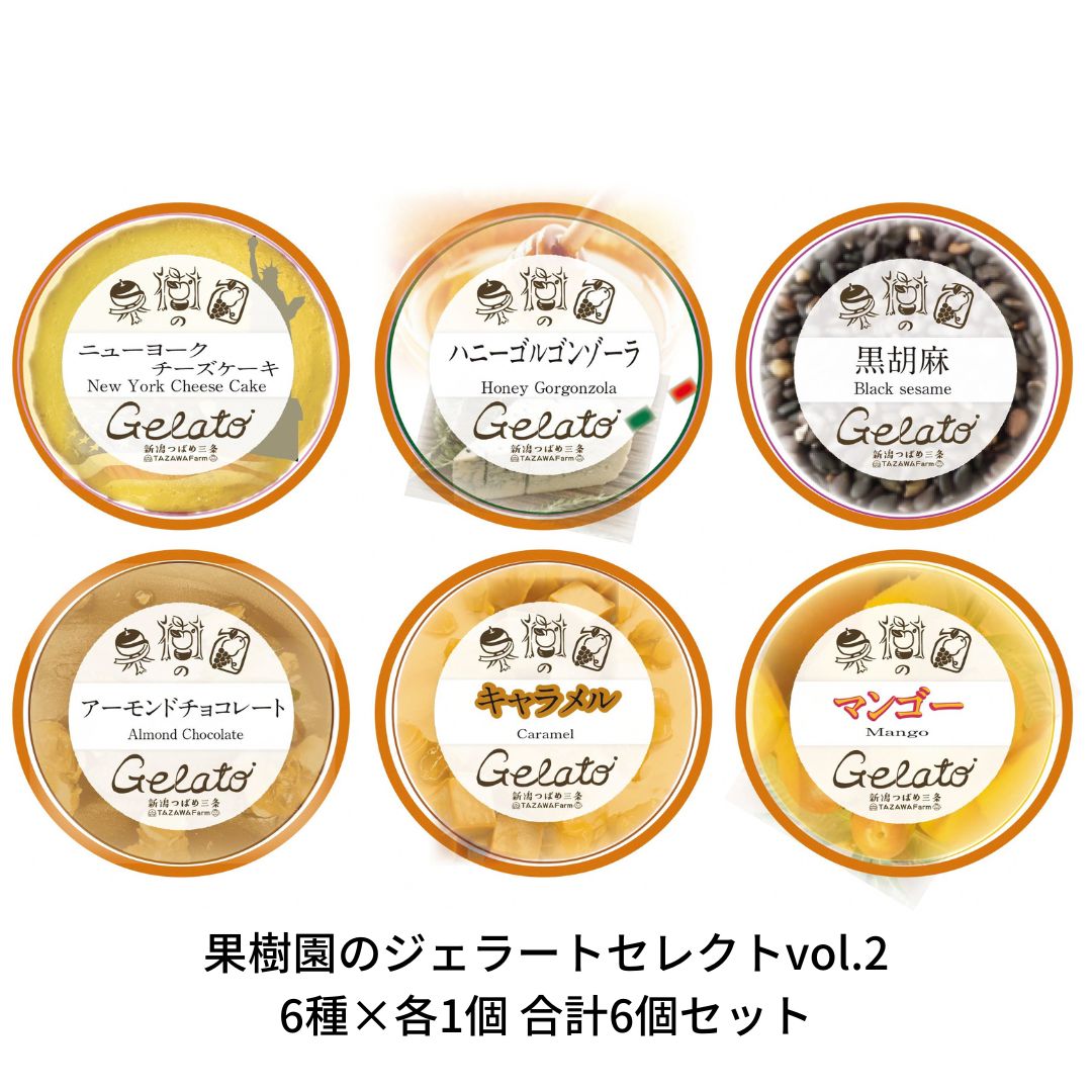 果樹園のジェラートセレクトvol.2 [6種×各1個] 合計6個セット ジェラート詰合せ アイス詰合せ [田沢農園] 