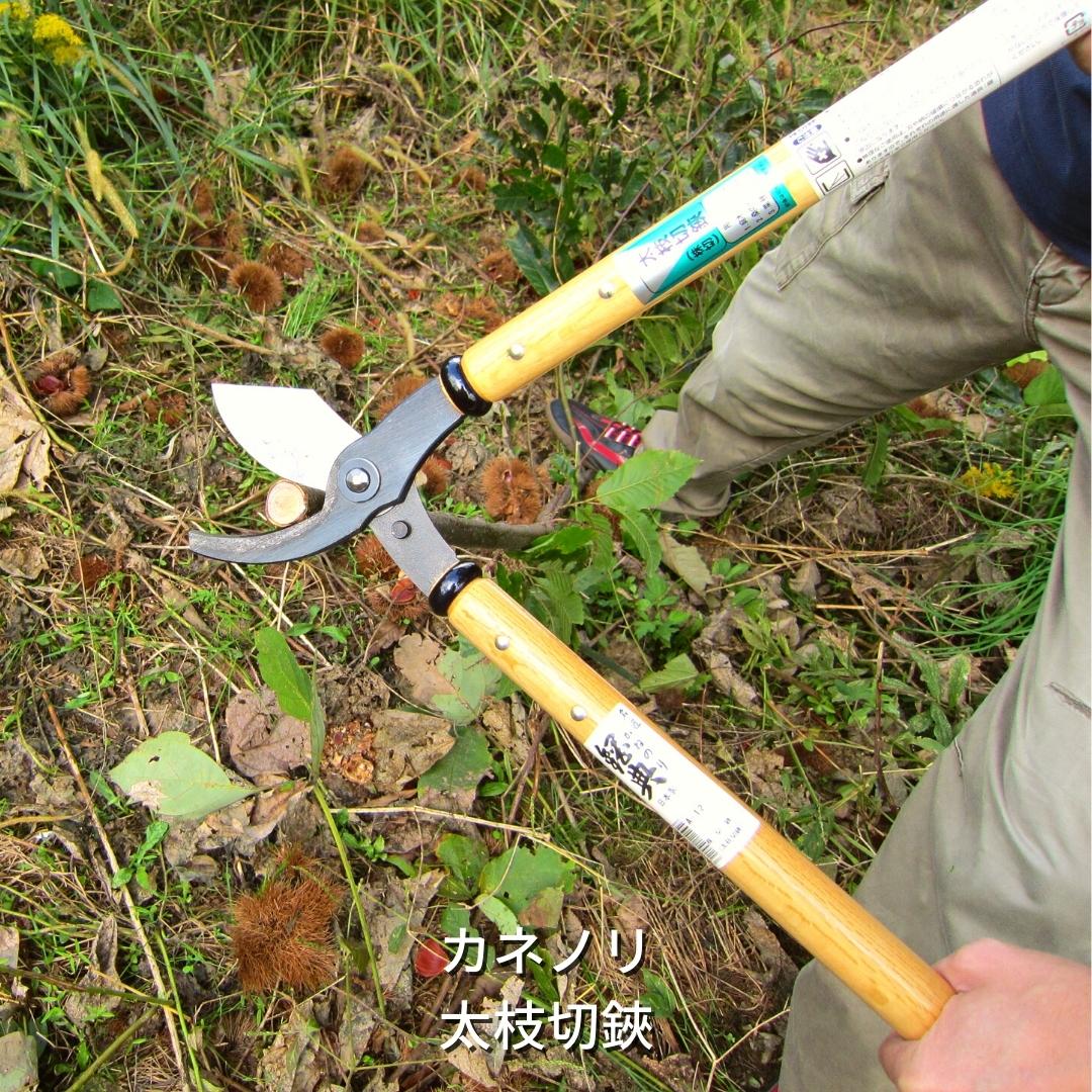 [カネノリ] 太枝切鋏 100mm刃 鋼典 太枝切り鋏 はさみ 園芸 ガーデニング [五十嵐刃物工業]