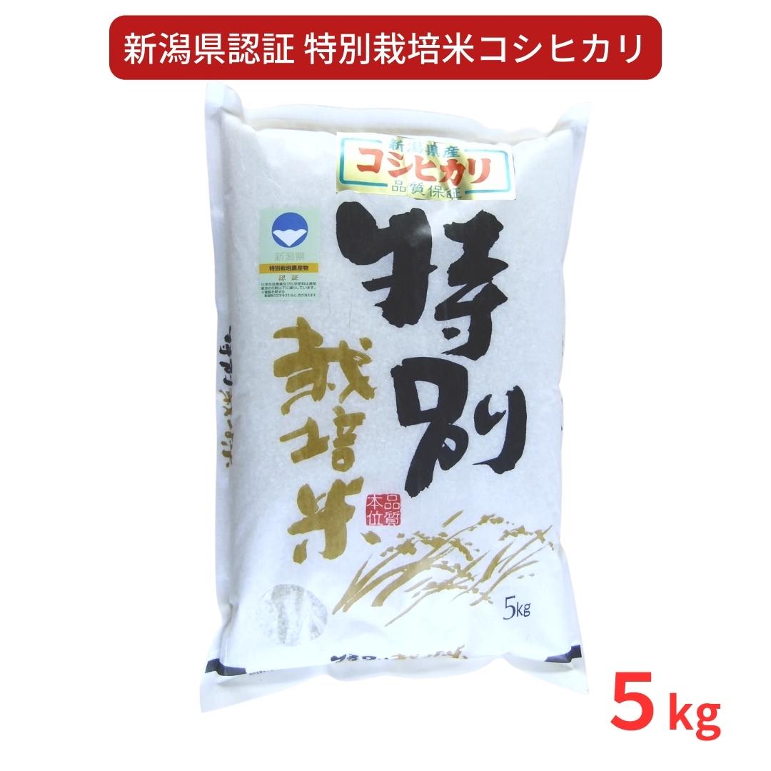 特別栽培米 コシヒカリ5kg 新潟県認証 令和5年産 新潟県三条市産 こしひかり 