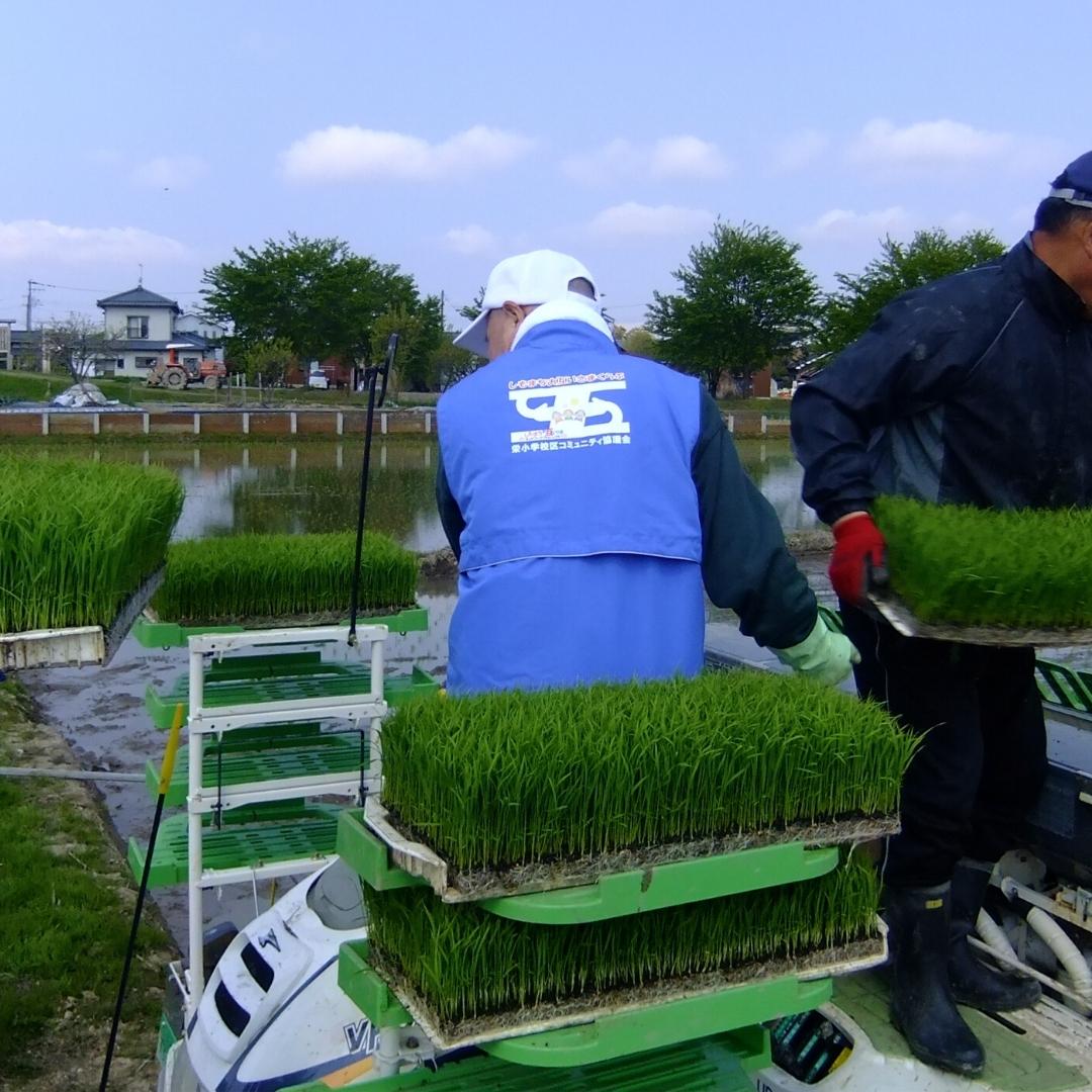 【ふるさと納税】 [定期便5kg×3ヶ月] 特別栽培米 コシヒカリ5kg 新潟県認証 令和5年産 新潟県三条市産 こしひかり 3か月連続でお届け【027S014】