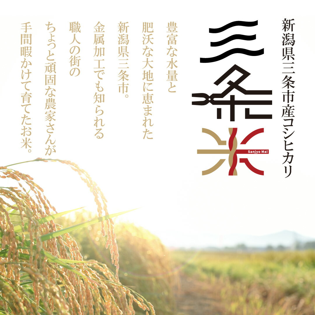 【ふるさと納税】新潟県三条市産 コシヒカリ 三条米 5kg 令和7年産 コシヒカリ 美味しいこしひかり 直前精米 アーネスト 【010S393】