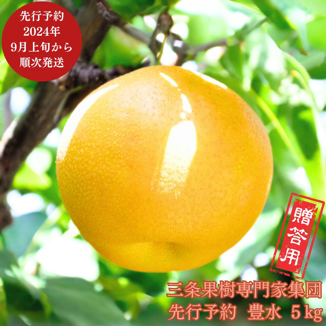 先行予約 和梨 豊水 約5kg [2024年発送分] 令和6年度 贈答用 新潟県 三条市産 梨 [三条果樹専門家集団] 