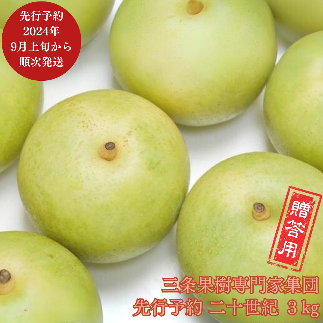 先行予約 和梨 二十世紀 約3kg [2024年発送分] 令和6年度 贈答用 新潟県 三条市産 梨 [三条果樹専門家集団] 