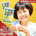 【ふるさと納税】令和5年産 コシヒカリ 10kg（5kg×2袋） 新潟県三条市下田産 こしひかり 【014S020】