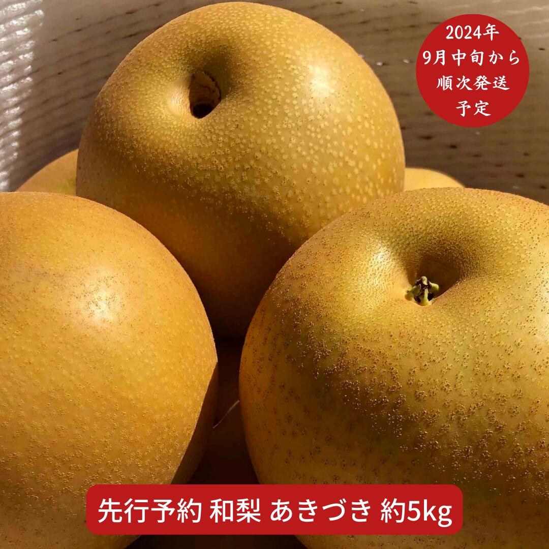 【ふるさと納税】先行予約 和梨 あきづき 5kg [2024