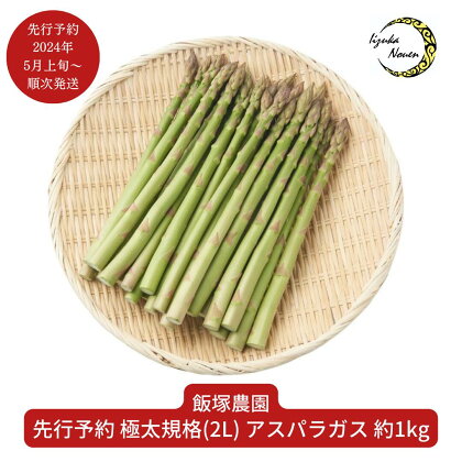 先行予約 アスパラガス 極太規格 (2L) 約1kg [2024年5月上旬から順次発送予定] 令和6年度 極太規格 (2L 1本45g以上）を厳選 [飯塚農園] 【011P039】