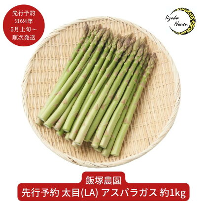 先行予約 アスパラガス 太目(LA) 約1kg [2024年5月上旬から順次発送予定] 令和6年度 [飯塚農園] 【012S004】